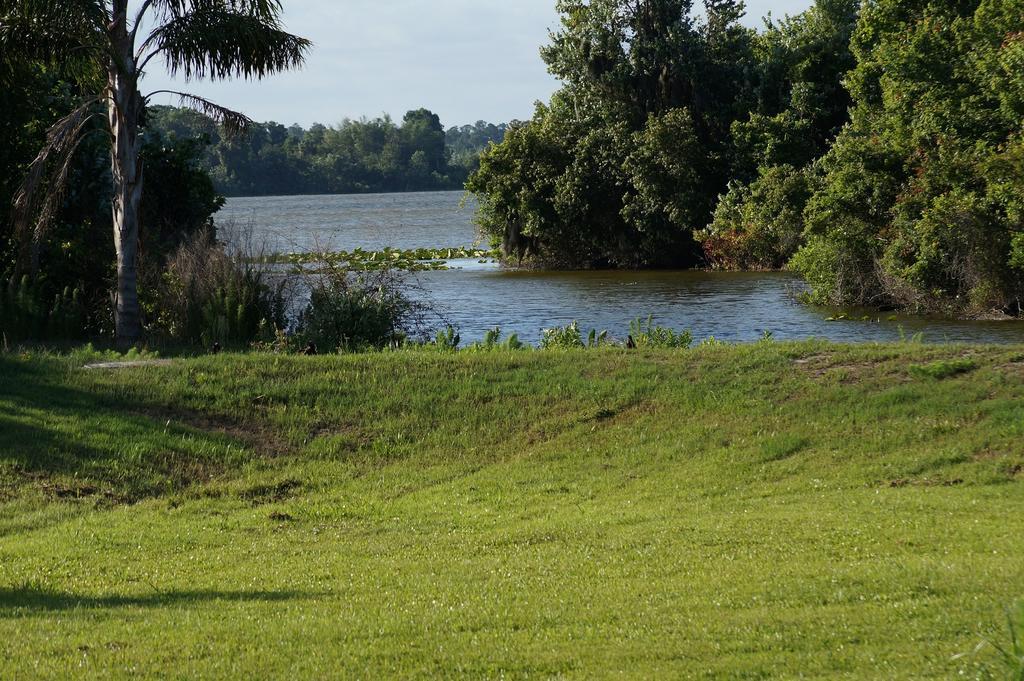 Villa Met Prive Zwembad Nabij Orlando Optional Heated Pool Dundee Δωμάτιο φωτογραφία